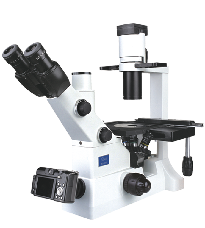NOVEL        江南永新     XD-202        倒置生物显微镜