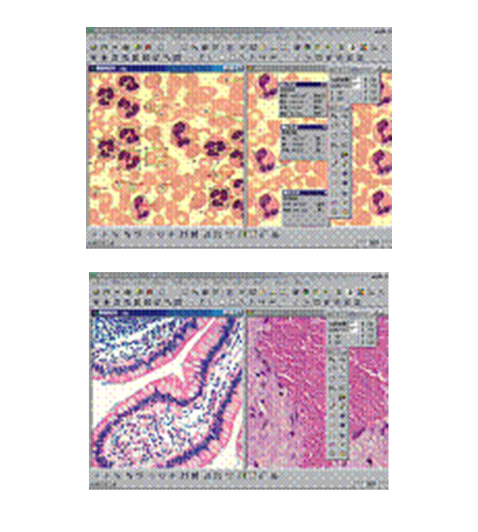 NOVEL      江南永新    ScopeImage Advanced        图像处理软件