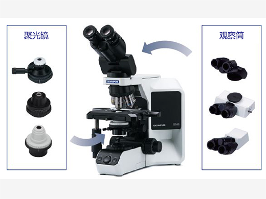 可根据不同的观察类型进行定制