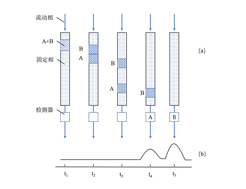 图1 二组分混合样的分离.jpg