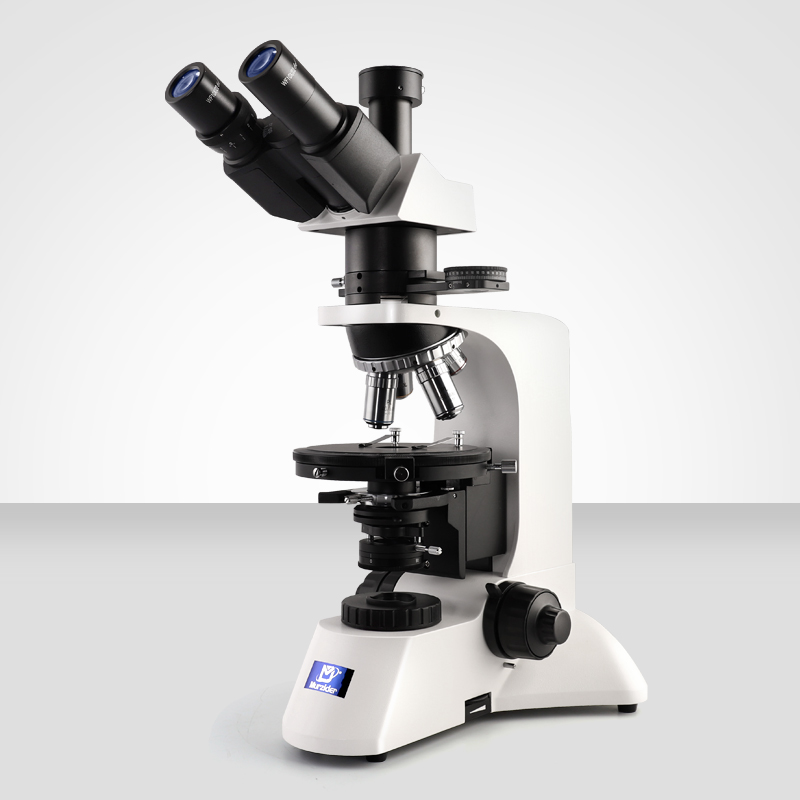 Murzider      迈时迪      MSD365      无限远透射偏光显微镜