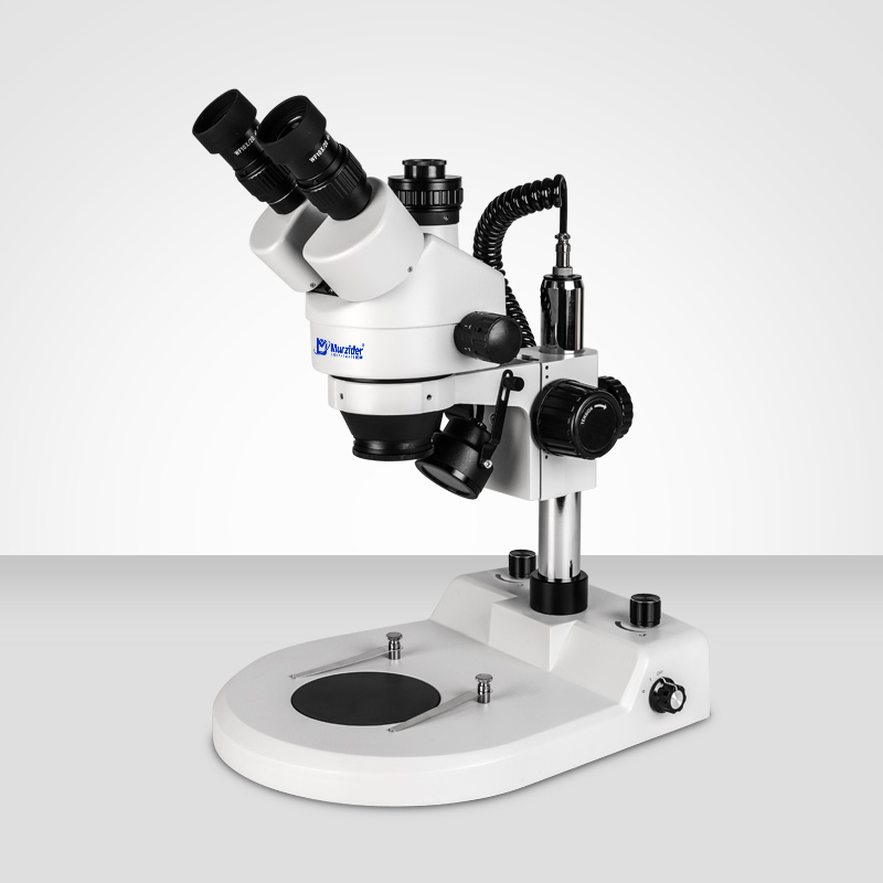 Murzider      迈时迪      MSD207      双色温上下光源体视显微镜
