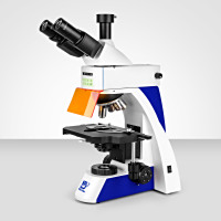 Murzider      迈时迪      MSD-S820      高强度荧光显微镜