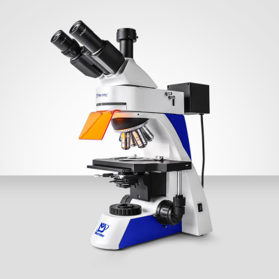 Murzider      迈时迪      MSD-S800     正置无限远荧光显微镜