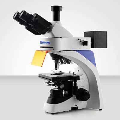 Murzider      迈时迪      MSD520     正置无限远荧光显微镜