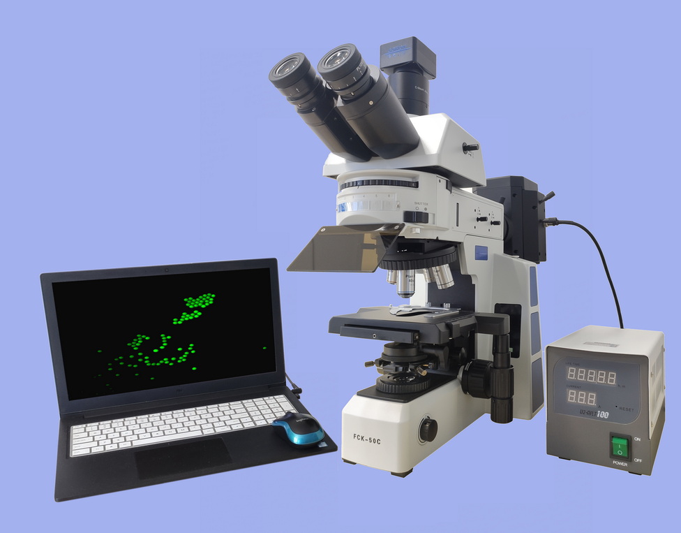 CAIKON      蔡康光学      FCK-50C     荧光显微镜