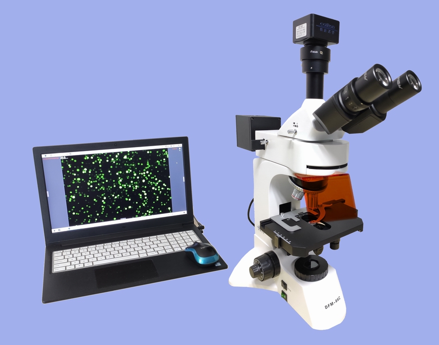 CAIKON      蔡康光学      DFM-66C      正置荧光显微镜