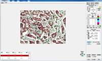 CAIKON      蔡康光学      DB-3000    显微图像分析软件/生物图像分析软件/细胞统计软件