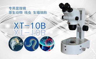 PUZHE      蒲柘     XT-10B    双目连续变倍体视显微镜