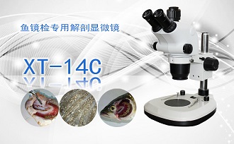 PUZHE      蒲柘      XT-14C      鱼镜检专用解剖显微镜